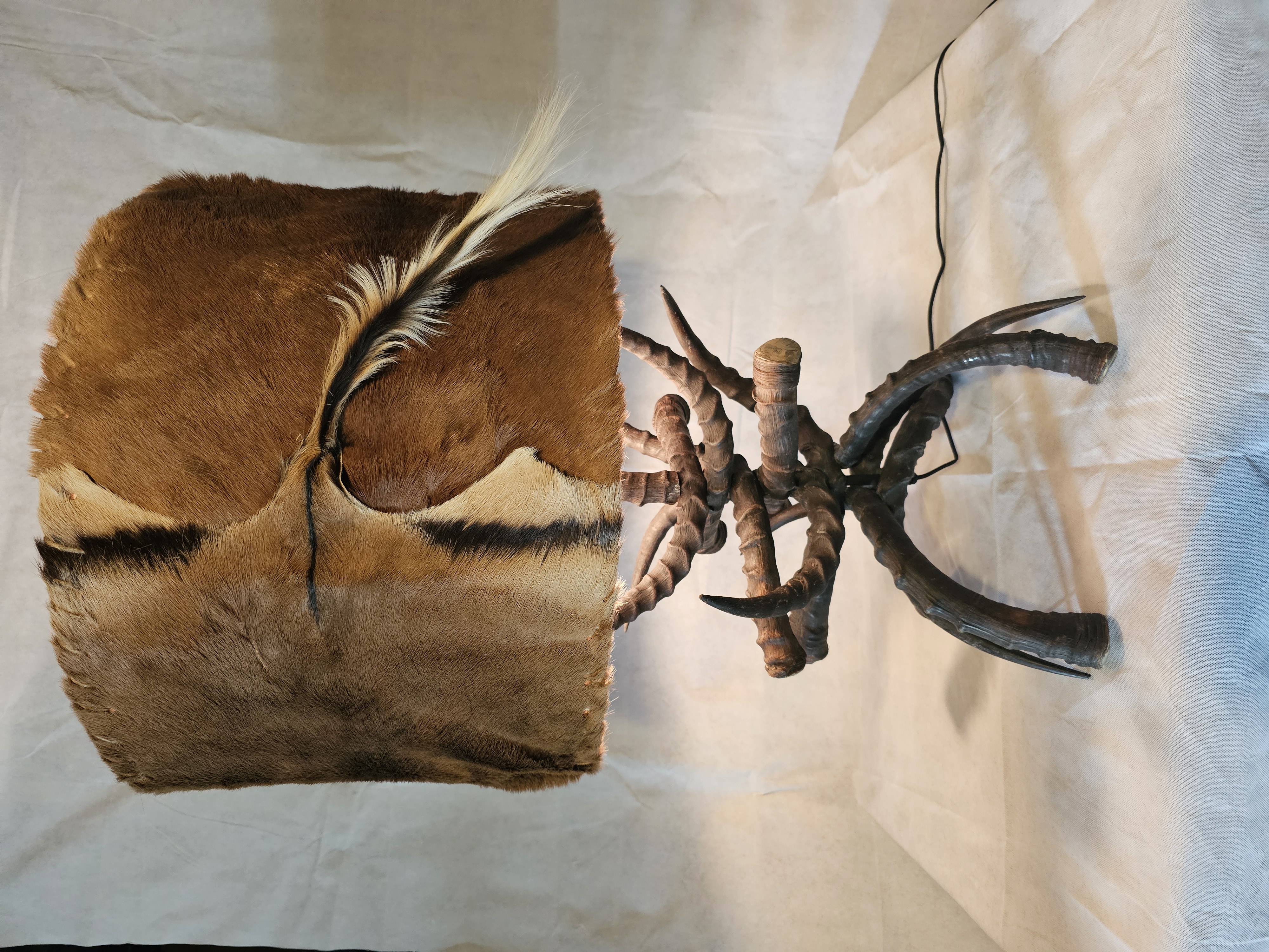 Re-Enlighten Gallery Pictures