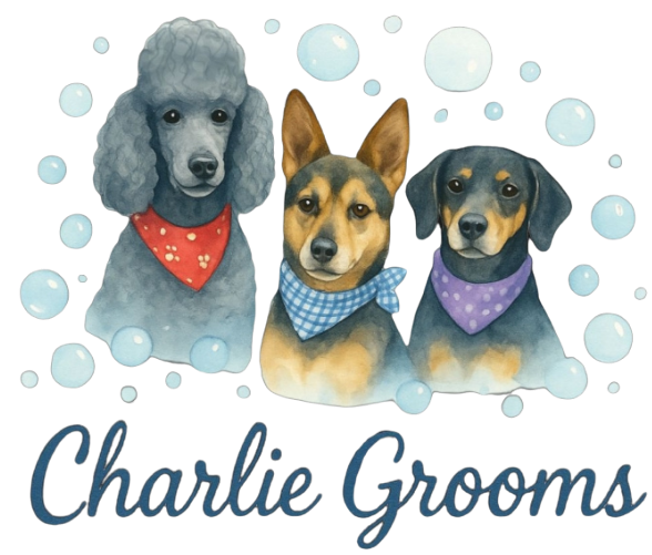 Charlie Grooms Sav LLC